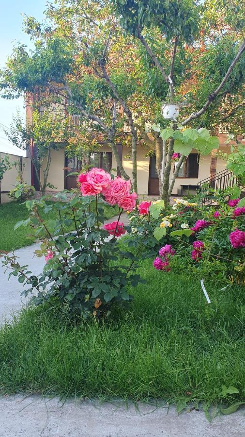 La Babusca Hotel Două Mai Екстериор снимка