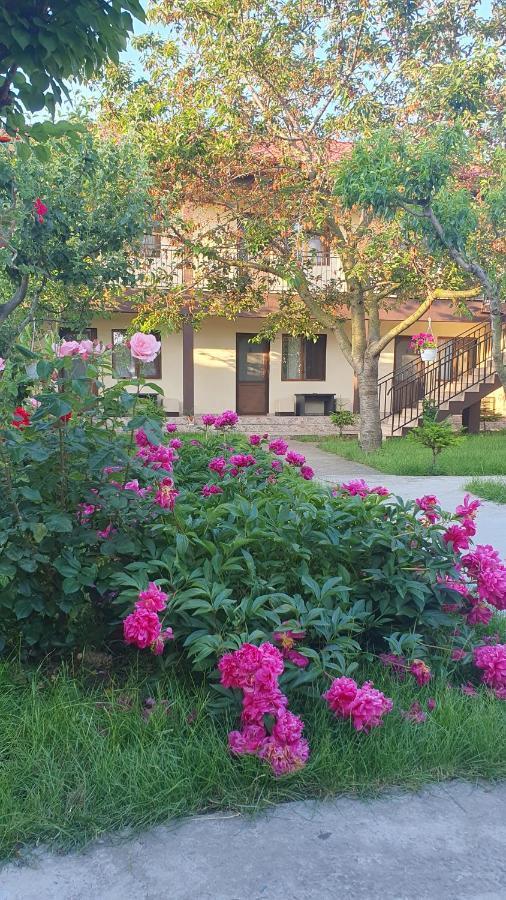 La Babusca Hotel Două Mai Екстериор снимка
