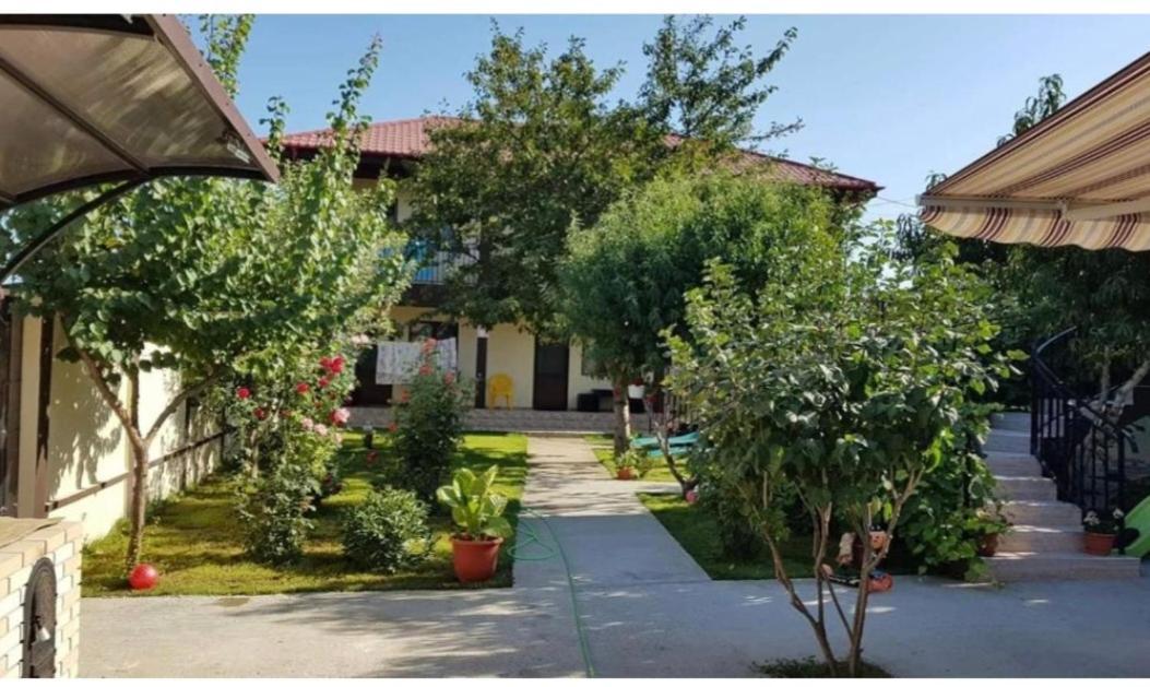 La Babusca Hotel Două Mai Екстериор снимка