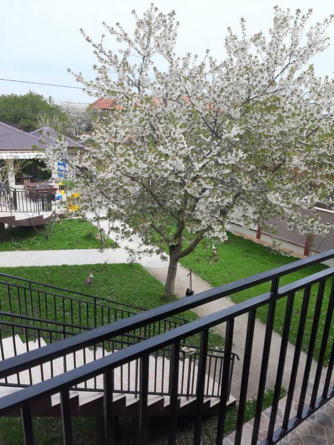 La Babusca Hotel Două Mai Екстериор снимка